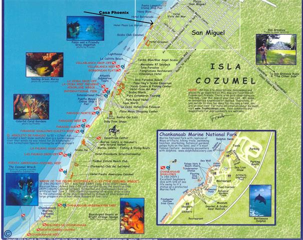 Reef Map - Casa Phoenix Cozumel