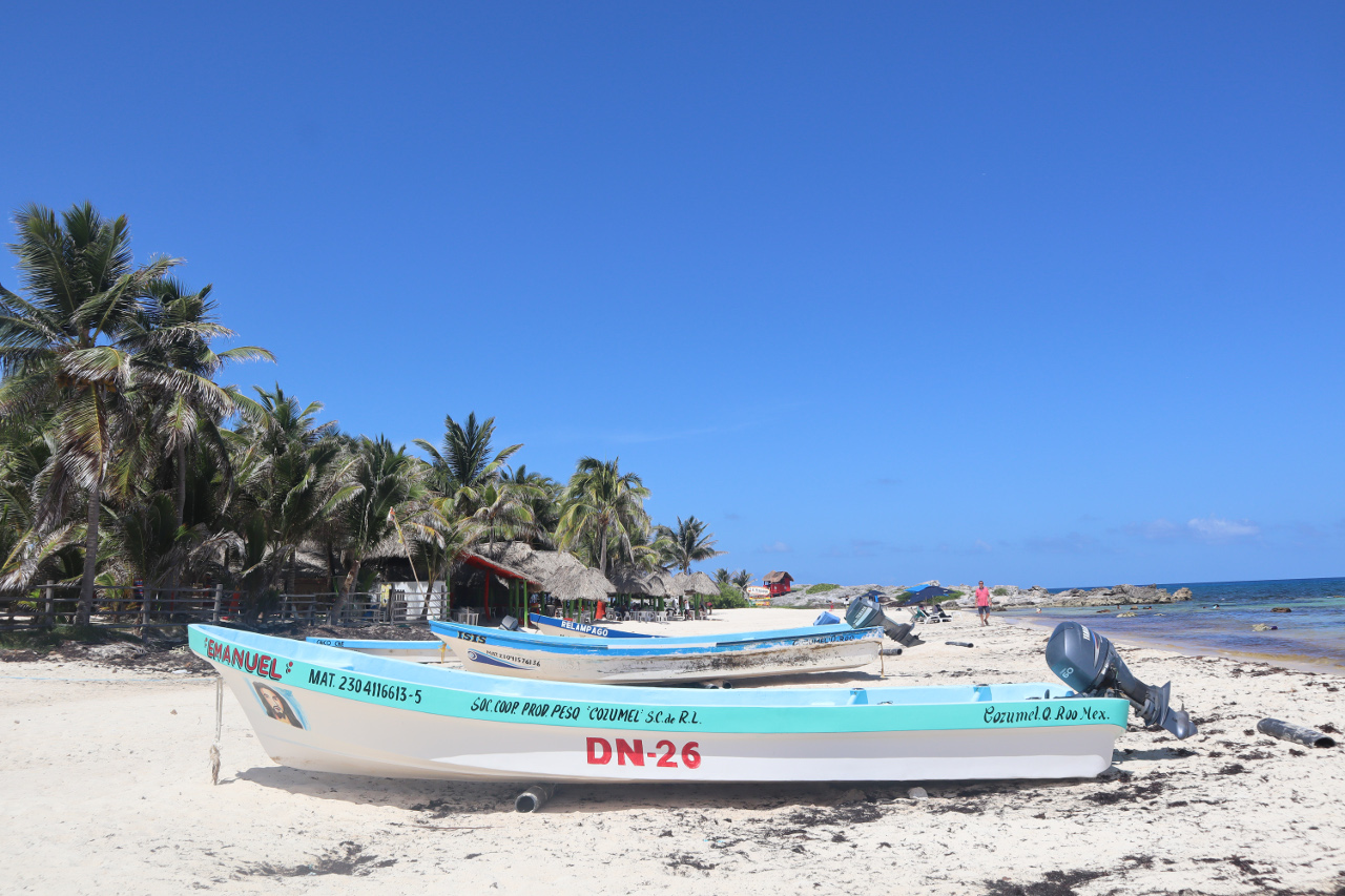 best things to do in cozumel (9)